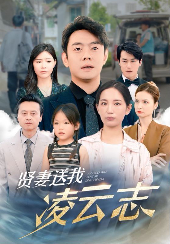 贤妻送我凌云志第21-40集