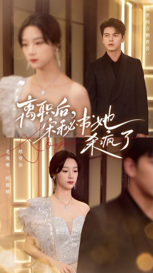 离职后，宋秘书她杀疯了第41-60集