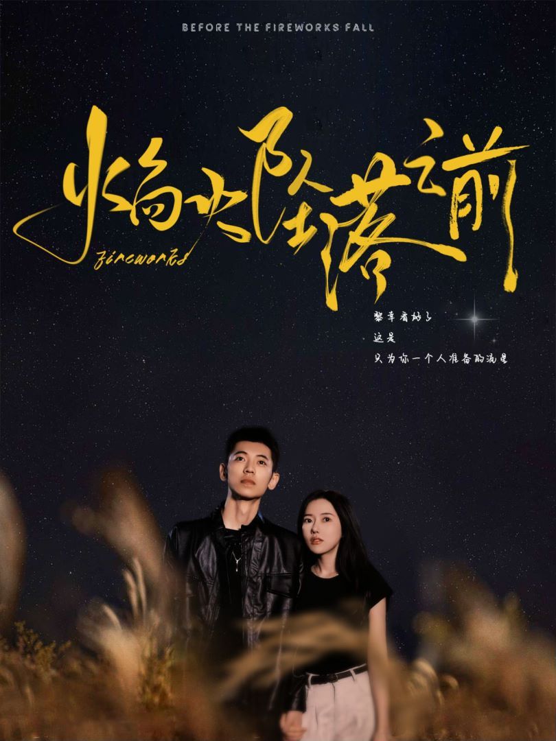 焰火坠落之前第21-40集