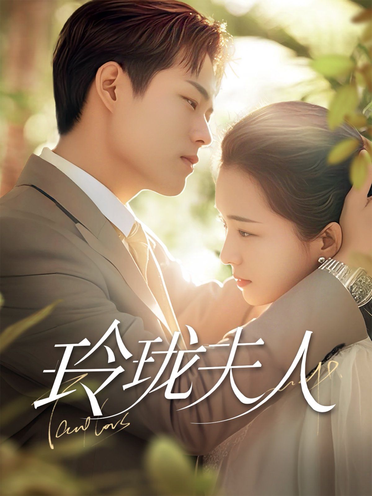 玲珑夫人第1-20集