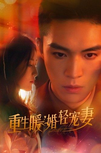 重生暖婚轻宠妻第21-40集